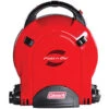 Coleman PerfectFlow InstaStart Fold N Go 2-Burner Stove