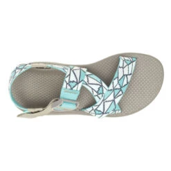 Chaco Women's Mega Z/Cloud Sandal -Winter Equip Store CHAW JCH109236 062921 S22 TOP Reshot