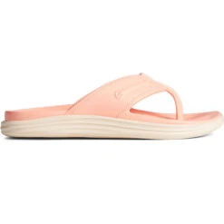 Sperry Women's Windward Float Flip Flop Sandal 5 Sperry Women's Windward Float Flip Flop Sandal -Winter Equip Store STS87391 000