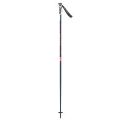 Scott Sun Valley Alpine Ski Pole - 1 Pair