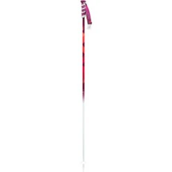 Swix W2 Alpine Ski Pole - 1 Pair